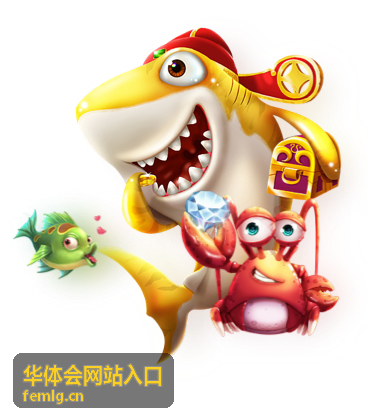 华体会网站入口账号与信息安全提示场景
